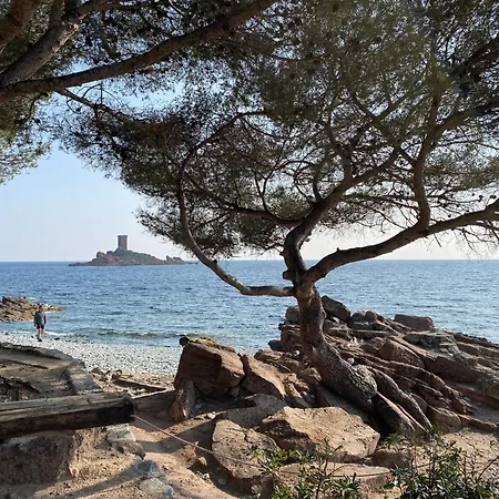 Appartement Emma Quartier Historique à 400m De La Saint-Raphaël