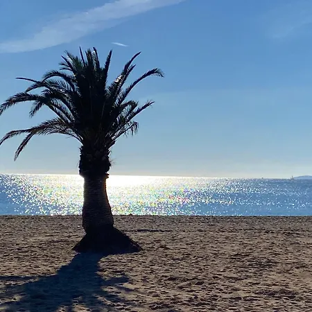 Emma Quartier Historique à 400m De La * Saint-Raphaël