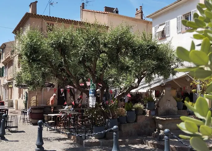 Emma Quartier Historique A 400m De La *