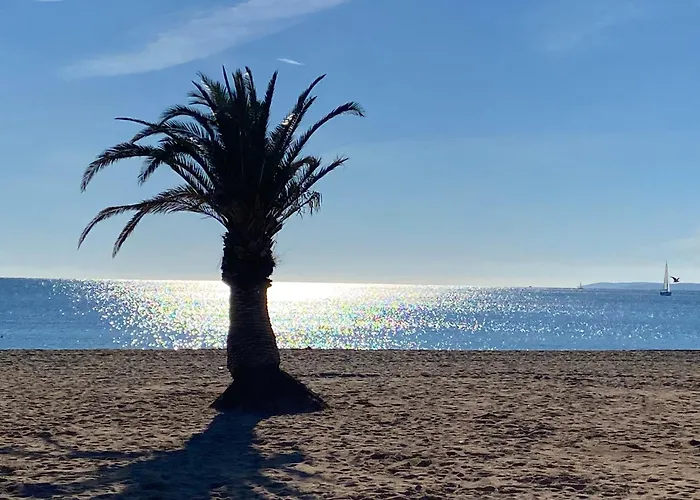 Emma Quartier Historique A 400m De La * Saint-Raphaël