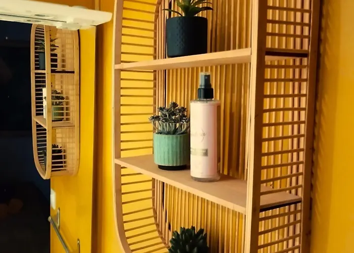 Appartement Emma Quartier Historique A 400m De La Saint-Raphaël