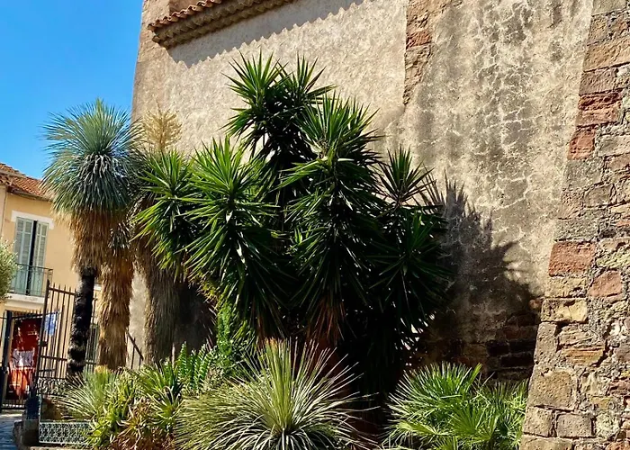 Emma Quartier Historique A 400m De La *