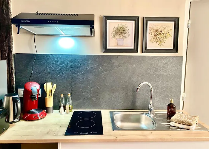 Lägenhet Emma Quartier Historique A 400m De La *